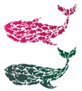 Colorful Whales