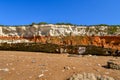 Colorful white-red cliffs in Hunstanton UK,boat wreck Royalty Free Stock Photo