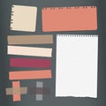 Colorful, white ripped lined notebook, note paper, sticky adhesive tape for text or message on black background. Vector