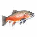 Colorful White Trout Illustration With Atmospheric Color Washes Royalty Free Stock Photo