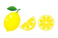 Colorful whole, half and slice lemon with green leaf. Vector ill