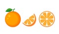 Colorful whole, half and slice orange with green leaf. Vector il