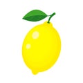 Colorful whole yellow lemon with green leaf.