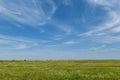 A colorful wide green field and a large beautiful blue sky with white clouds. Summer landscape. Lots of herbs Royalty Free Stock Photo