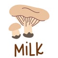 Colorful wild edible milk with cartoon-style names. Isolated vector flat illustration. White bunch mushroom. Edible mushrooms in