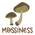 Colorful wild edible mossiness with cartoon-style names. Isolated vector flat illustration. mossiness mushroom. Edible mushrooms