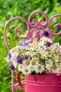 Colorful wild flower bouquet in a pink watering can Royalty Free Stock Photo