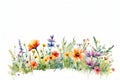 Watercolor illustration of a colorful wild flower garden on white background.