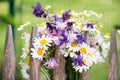 Colorful wild flowers on a garden fence