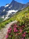 Colorful Mountain Hiking Trail on Siyeh Pass Royalty Free Stock Photo