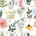 Colorful wildflowers seamless pattern with pretty watercolor flowers on white background. Botanical print
