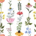 Colorful wildflowers seamless pattern on white background. Watercolor hand painted pretty yellow, pink, orange and blue flowers Royalty Free Stock Photo