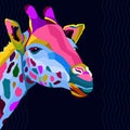 Colorful wildlife mammal fauna giraffe pop art portrait