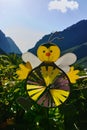 Colorful wind weather vane on green background during the sunny