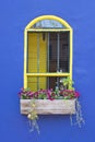 Colorful Window