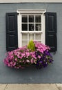Windows and window boxes planters displays adornments enhance architecture