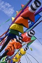 Colorful Windsocks Royalty Free Stock Photo