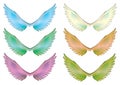 Colorful Wings Set Vector