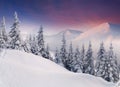 Colorful winter landscape Royalty Free Stock Photo