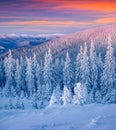 Colorful winter landscape in mountains. Royalty Free Stock Photo