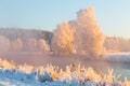 Colorful winter landscape with snow covered riversides. Beautiful winter nature. Trees branches covered with hoarfrost at dawn in Royalty Free Stock Photo