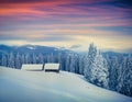 Colorful winter morning in Carpathian mountains. Royalty Free Stock Photo