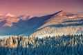 Colorful Winter morning in the mountains. Royalty Free Stock Photo
