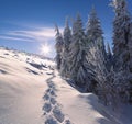 Colorful winter morning in mountais Royalty Free Stock Photo