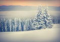 Colorful winter sunrise in foggy mountains Royalty Free Stock Photo