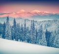 Colorful winter sunrise in the foggy mountains. Royalty Free Stock Photo