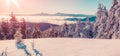 Colorful winter sunrise in the foggy mountains. Royalty Free Stock Photo