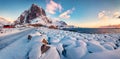 Colorful winter sunrise on Hamnoy village, Lofoten Islands. Fresh snow covered stones on the shore of Norwegian sea. Royalty Free Stock Photo