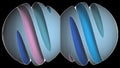Colorful wire frame slice sphere shape evolving loop