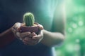 Colorful woman holding a small cactus in hands gently on nature