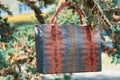 Colorful woman s bag with snake s skin imitation hangs on the tree