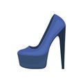 Colorful women shoes. High heels stiletto womens shoe fashion footwear for girls. Royalty Free Stock Photo
