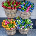 Colorful wooden artificial tulips in baskets Royalty Free Stock Photo