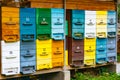 Colorful wooden bee hive boxes Royalty Free Stock Photo