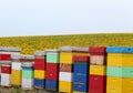 Colorful wooden beehives in front of a sunflower field