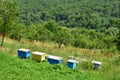 Colorful wooden beehives on hill slope Royalty Free Stock Photo