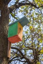 Colorful wooden birdhouse on tree. Design of nesting box. Bird shelter in spring forest. Handmade bird house. Royalty Free Stock Photo