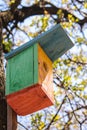 Colorful wooden birdhouse on tree. Design of nesting box. Bird shelter in spring forest. Handmade bird house. Royalty Free Stock Photo