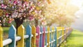 Colorful wooden fence in the garden with pink tree blossom in spring Royalty Free Stock Photo