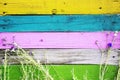 Colorful wooden fence with grass and flowers Royalty Free Stock Photo