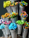 Colorful wooden tulips from Amsterdam Royalty Free Stock Photo