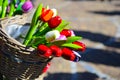 Colorful wooden tulips in basket