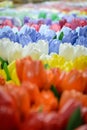 Colorful wooden tulips in Bloemenmarkt in Amsterdam.