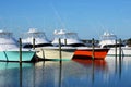 Colorful Yachts Boats Marina Waterway Luxury