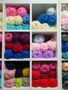 Colorful yarns of wool for knitting in shop