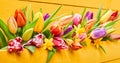 Colorful yellow banner with fresh spring flowers Royalty Free Stock Photo